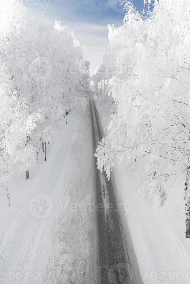 strada d'inverno con alberi innevati foto