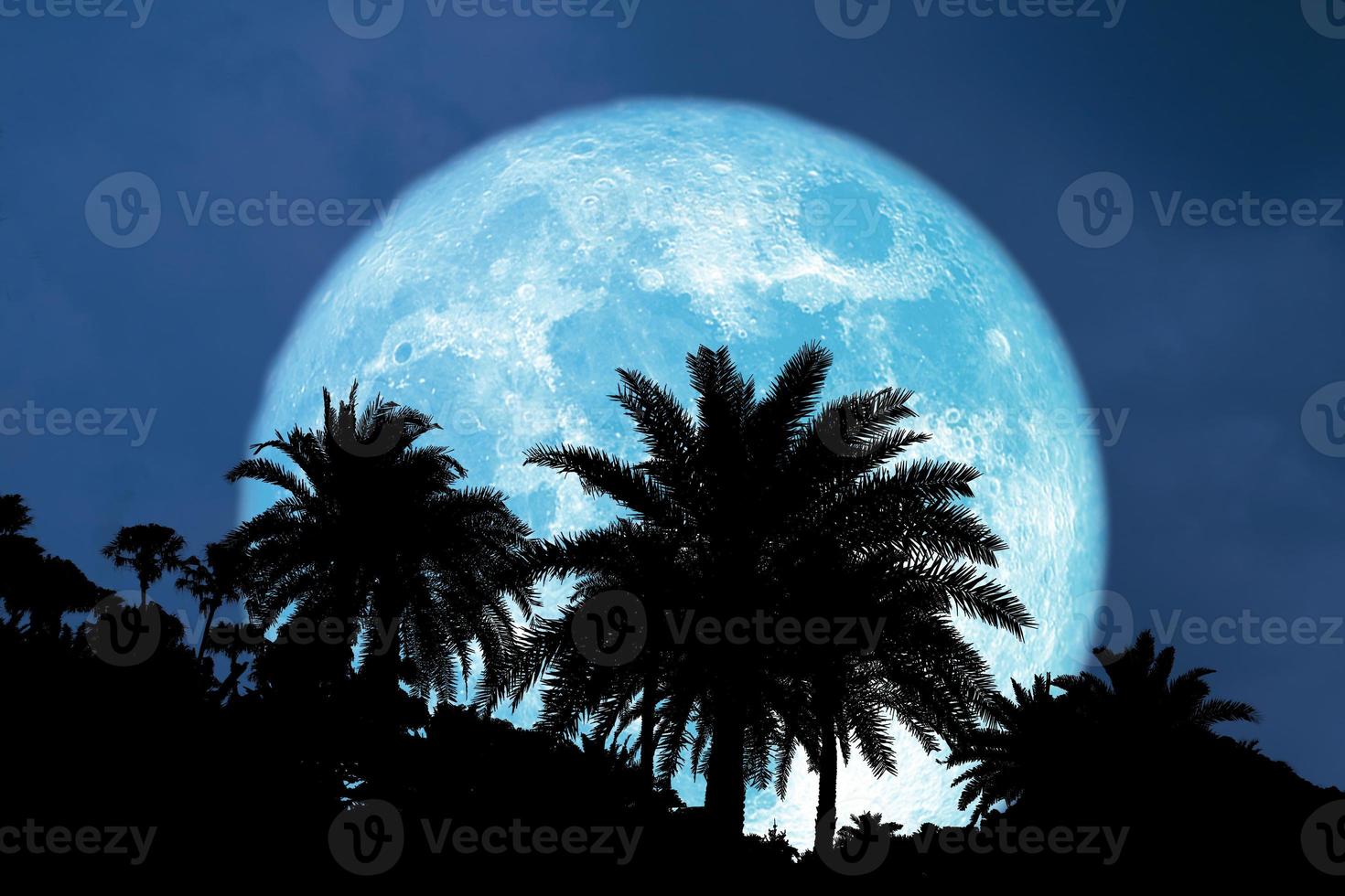 super fiore blu luna indietro silhouette palma sul cielo notturno foto