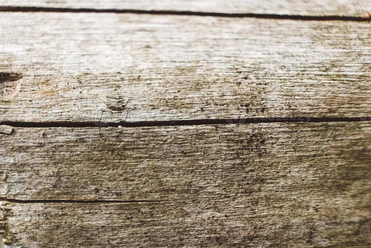 struttura e superficie di legno sul tronco di sfondo dell'albero foto