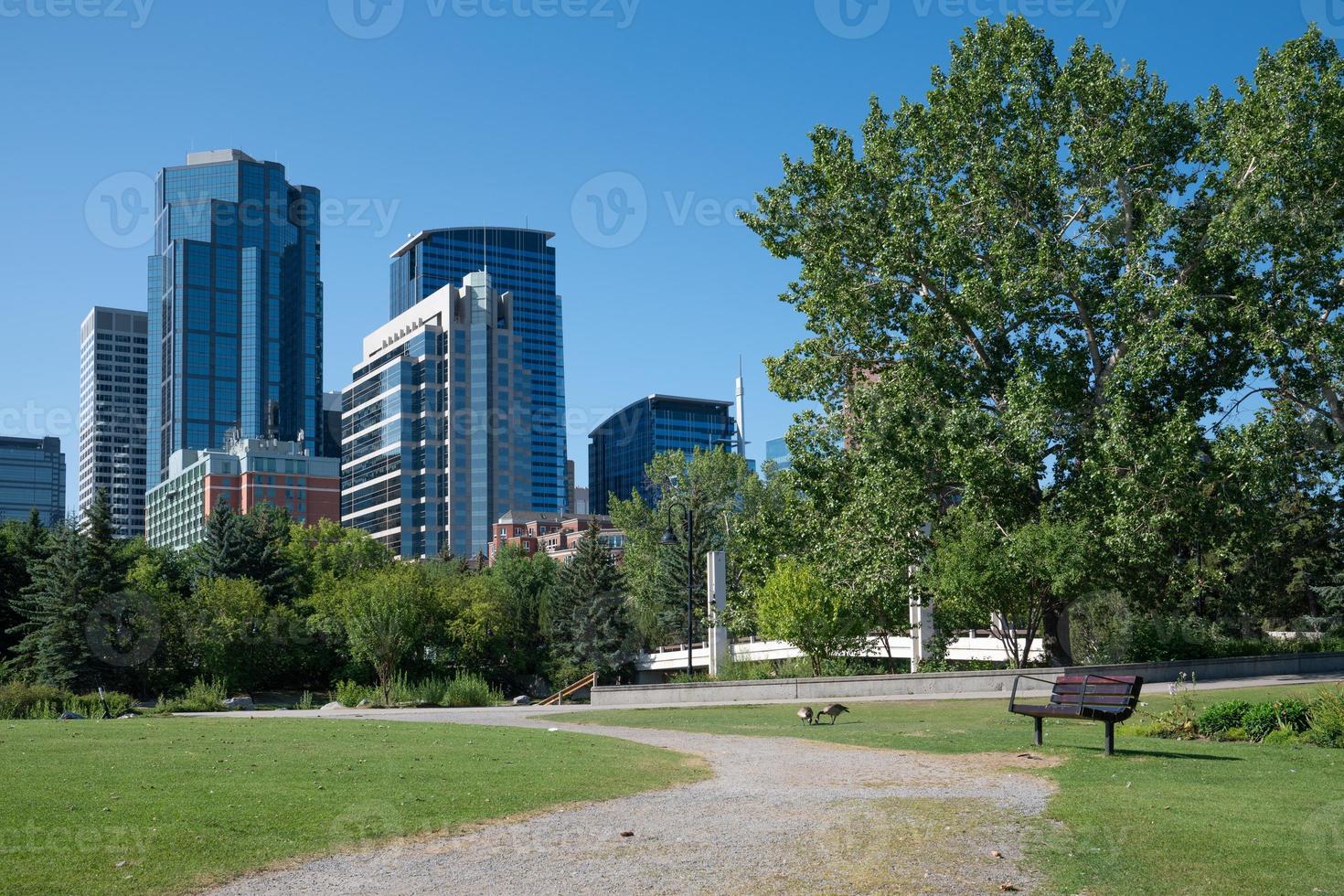 calgary, alberta, canada foto