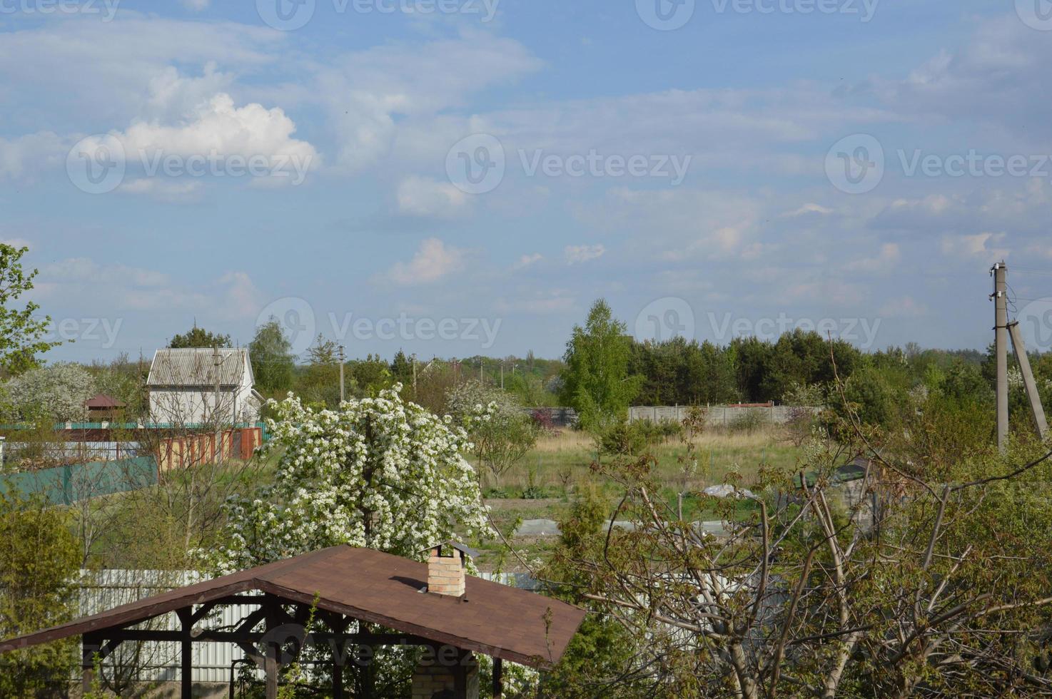 panorama del giardino del villaggio in primavera foto
