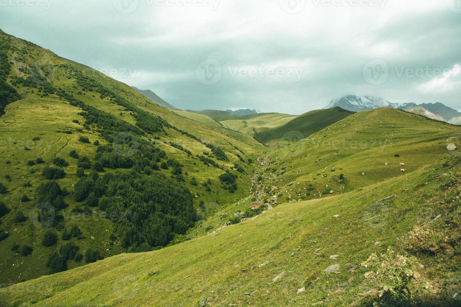 una bellissima fotografia di paesaggio con le montagne del Caucaso in Georgia. foto