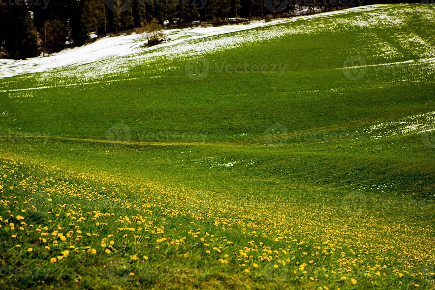 splendido scenario di montagna nelle alpi foto