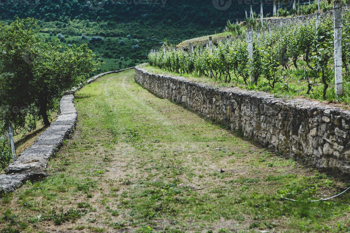 il villaggio di stroiesti è una pittoresca cittadina rurale della repubblica moldova, situata sulle rive del fiume dniester foto