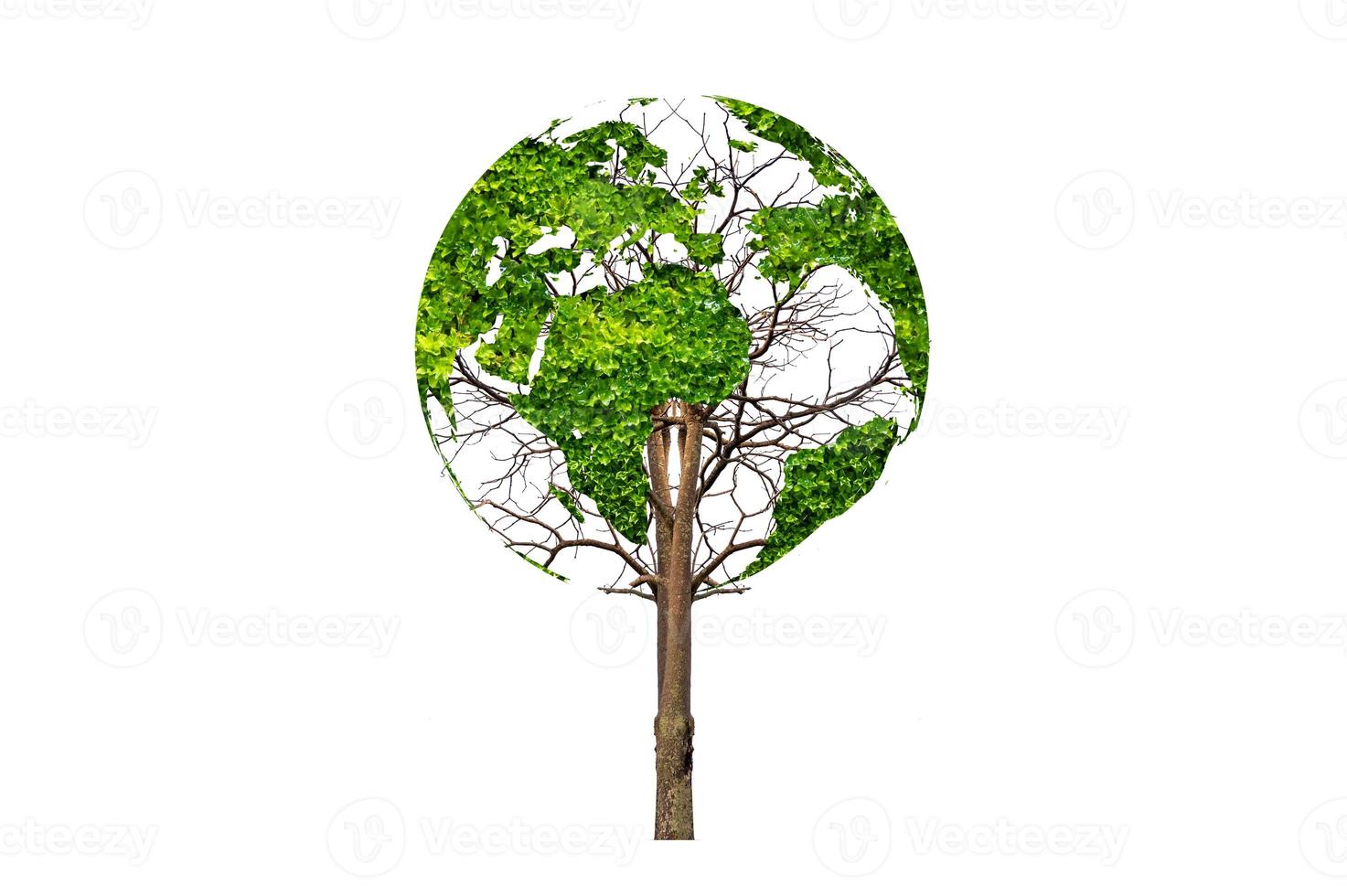 un albero con le foglie della mappa del mondo, il concetto, l'ambiente, salva il mondo foto