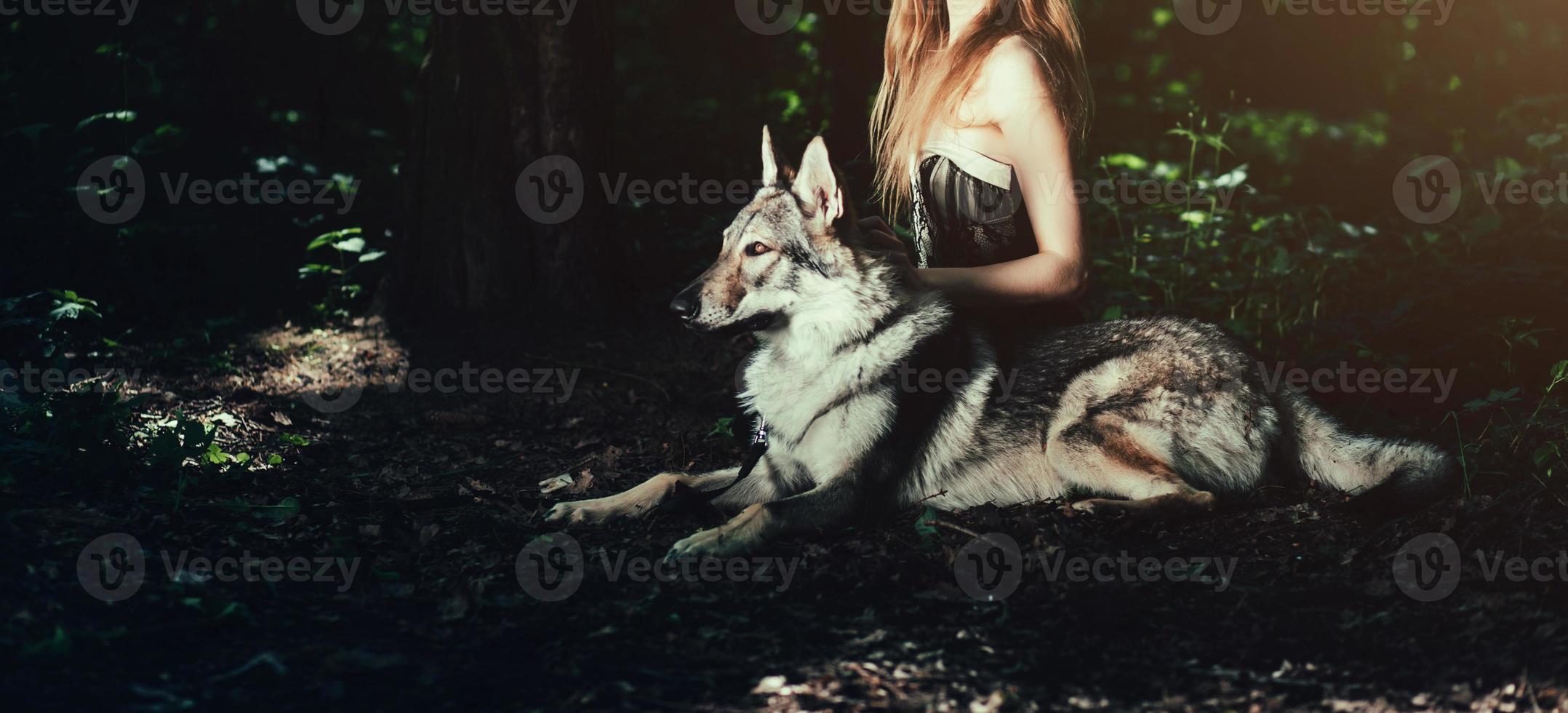 ragazza seduta con il cane foto