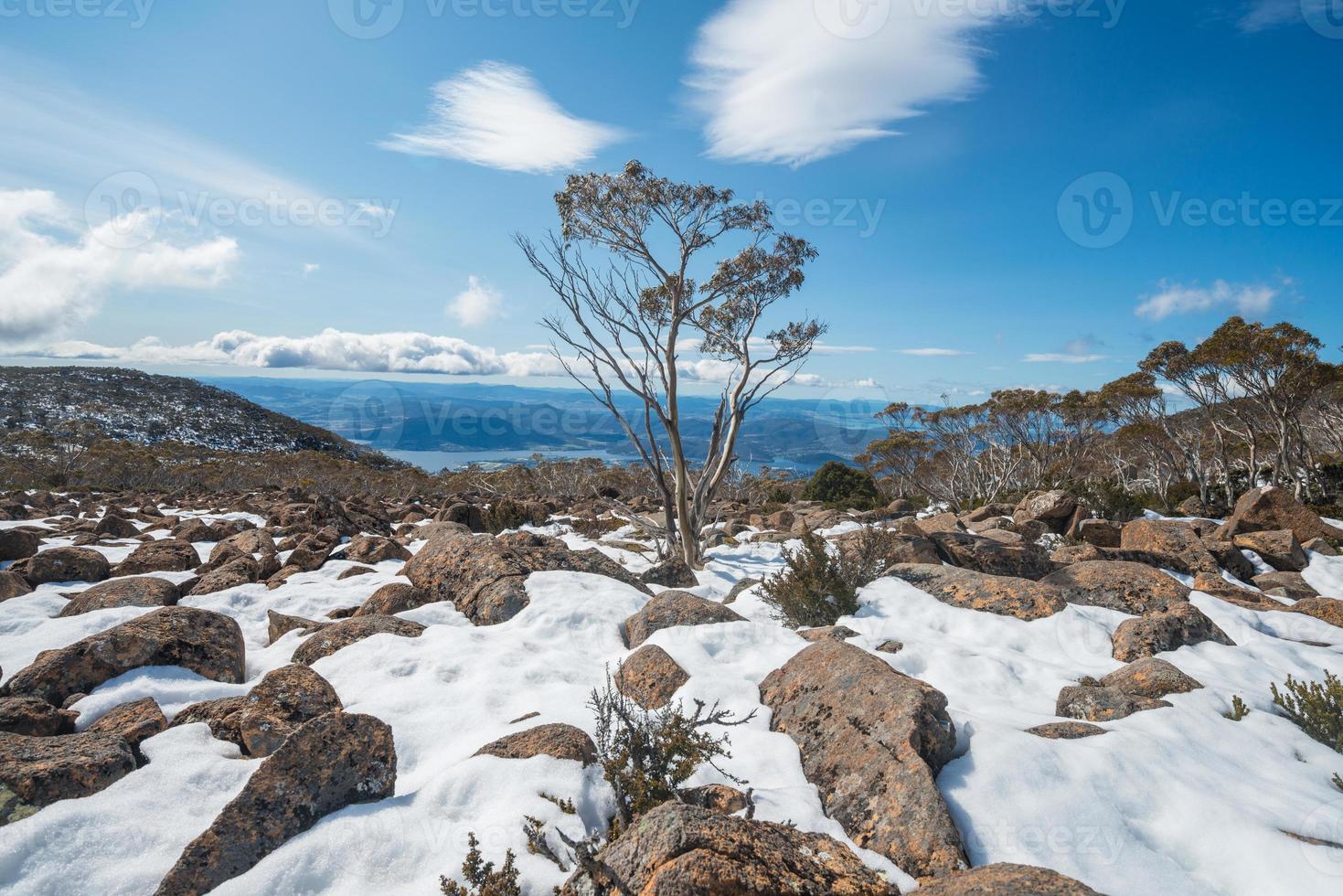 l'ambiente sulla cima del monte Wellington nella stagione invernale, città di hobart, stato della tasmania dell'australia. foto