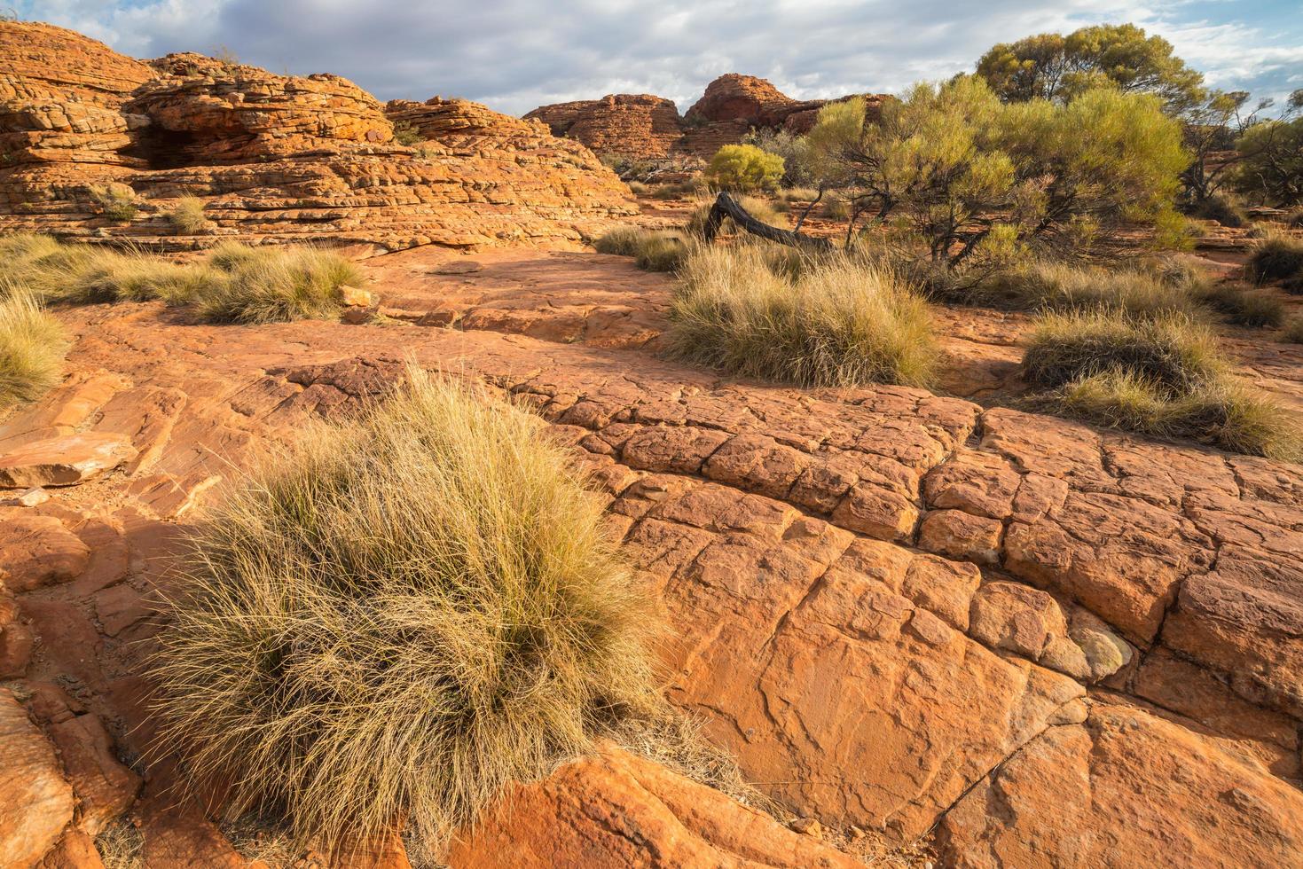 il paesaggio del canyon del re nel territorio settentrionale dello stato dell'outback australiano. foto