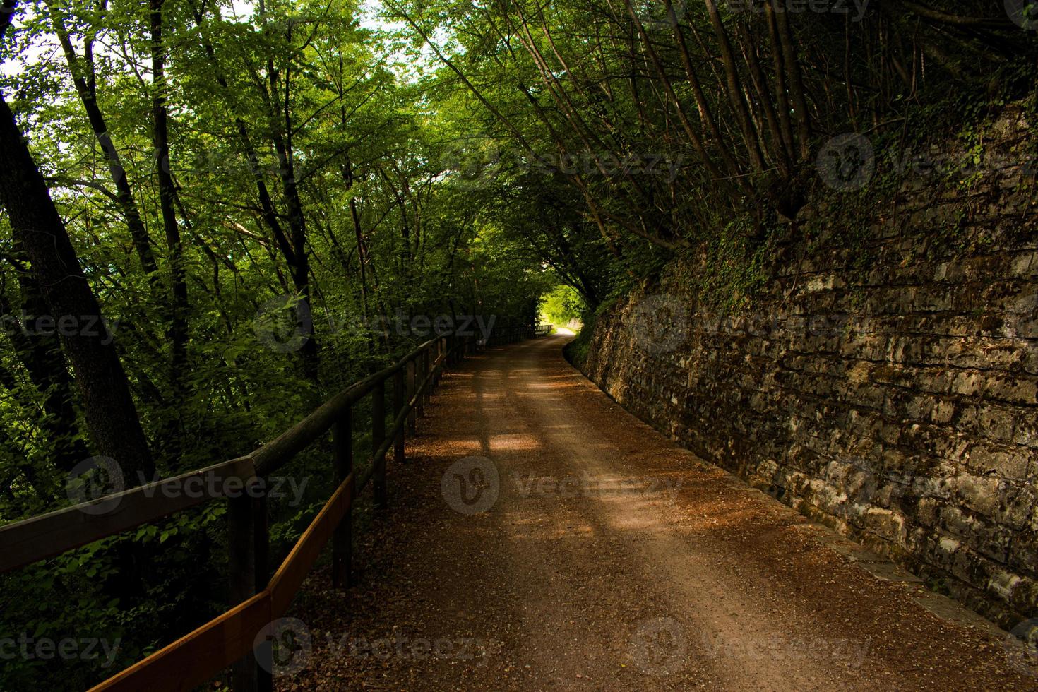 sentiero nel bosco in penombra con raggi di sole filtrati dalle nuvole, primavera in mezzo alla natura, trekking e vacanze all'aria aperta foto