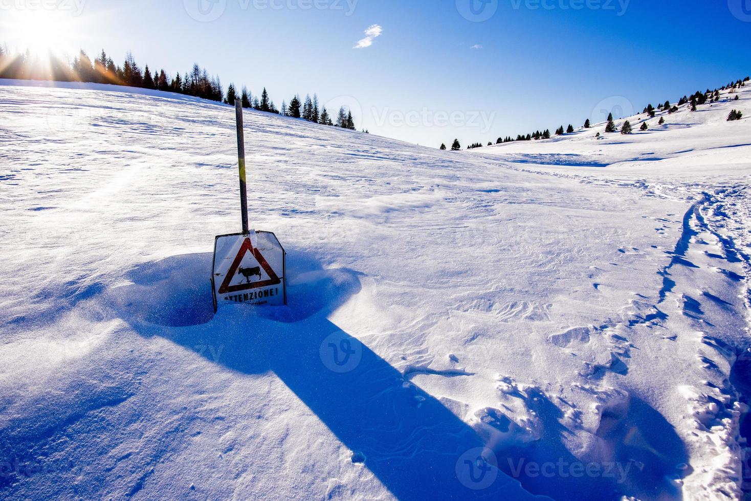 2021 12 11 cima larici neve e ferro 1 foto