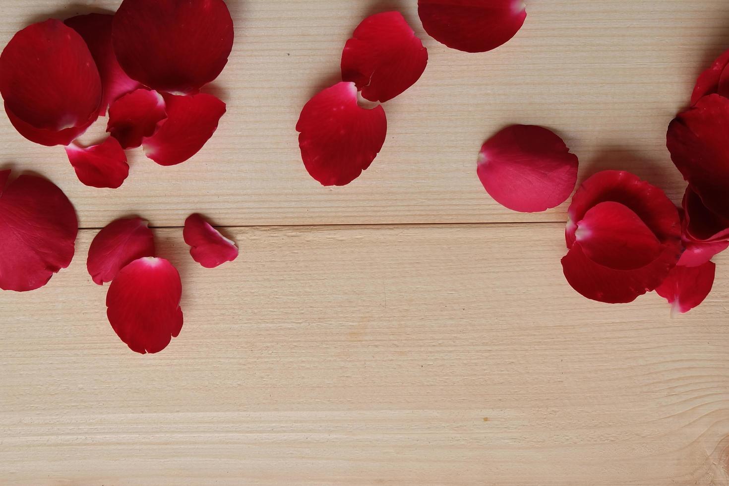 petali di rosa isolati su sfondo di legno. concetto di felice giorno di san valentino foto