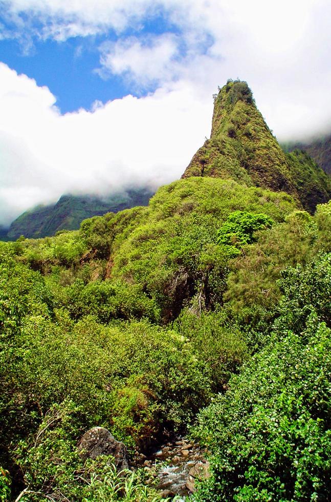 iao ago maui hawaii foto