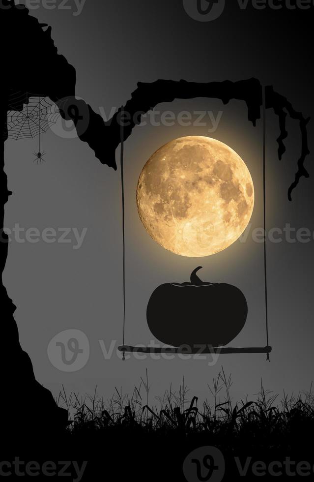 sfondo di notte di halloween con luna, ragno e zucca seduti su altalene sotto il vecchio albero. foto