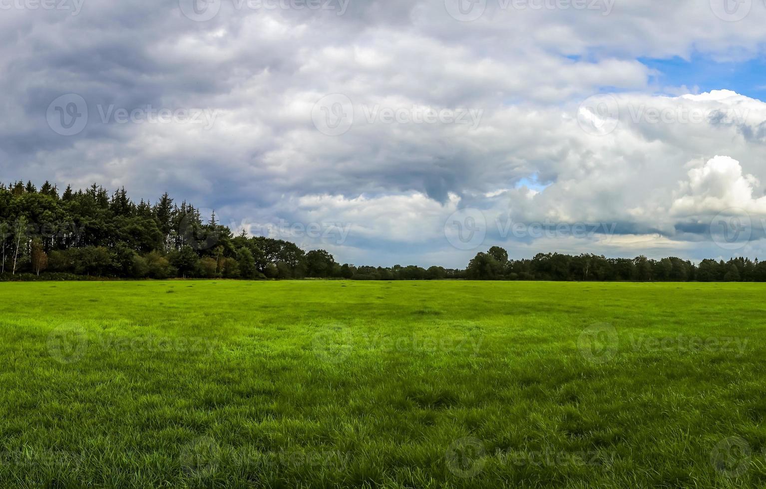 bellissimo panorama ad alta risoluzione di un paesaggio di un paese dell'Europa settentrionale con campi ed erba verde foto