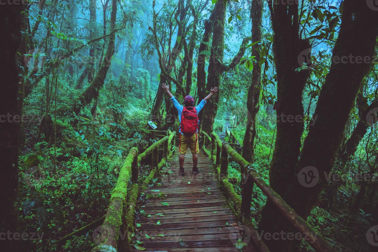 viaggio uomo asiatico relax studio della natura nella giungla a chiangmai in thailandia. foto