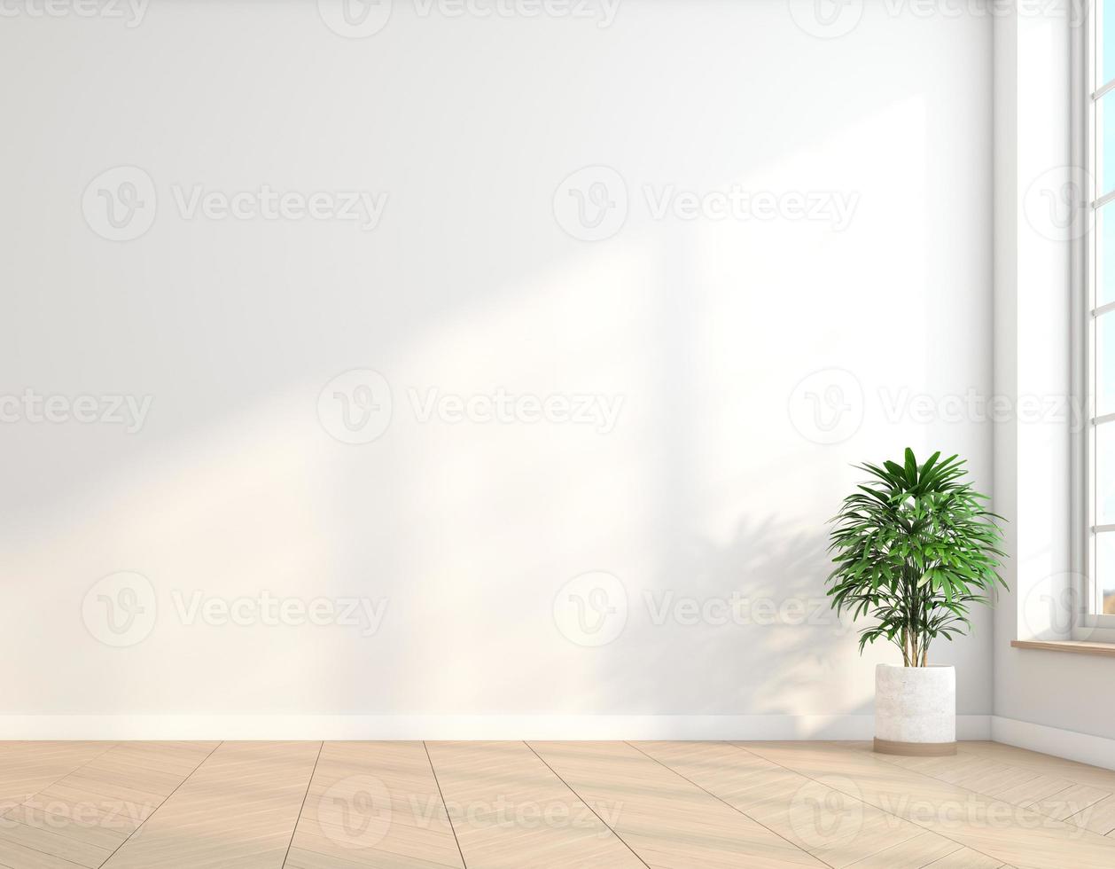 stanza vuota minimalista con parete bianca e pavimento in legno e piante verdi interne. rendering 3D foto