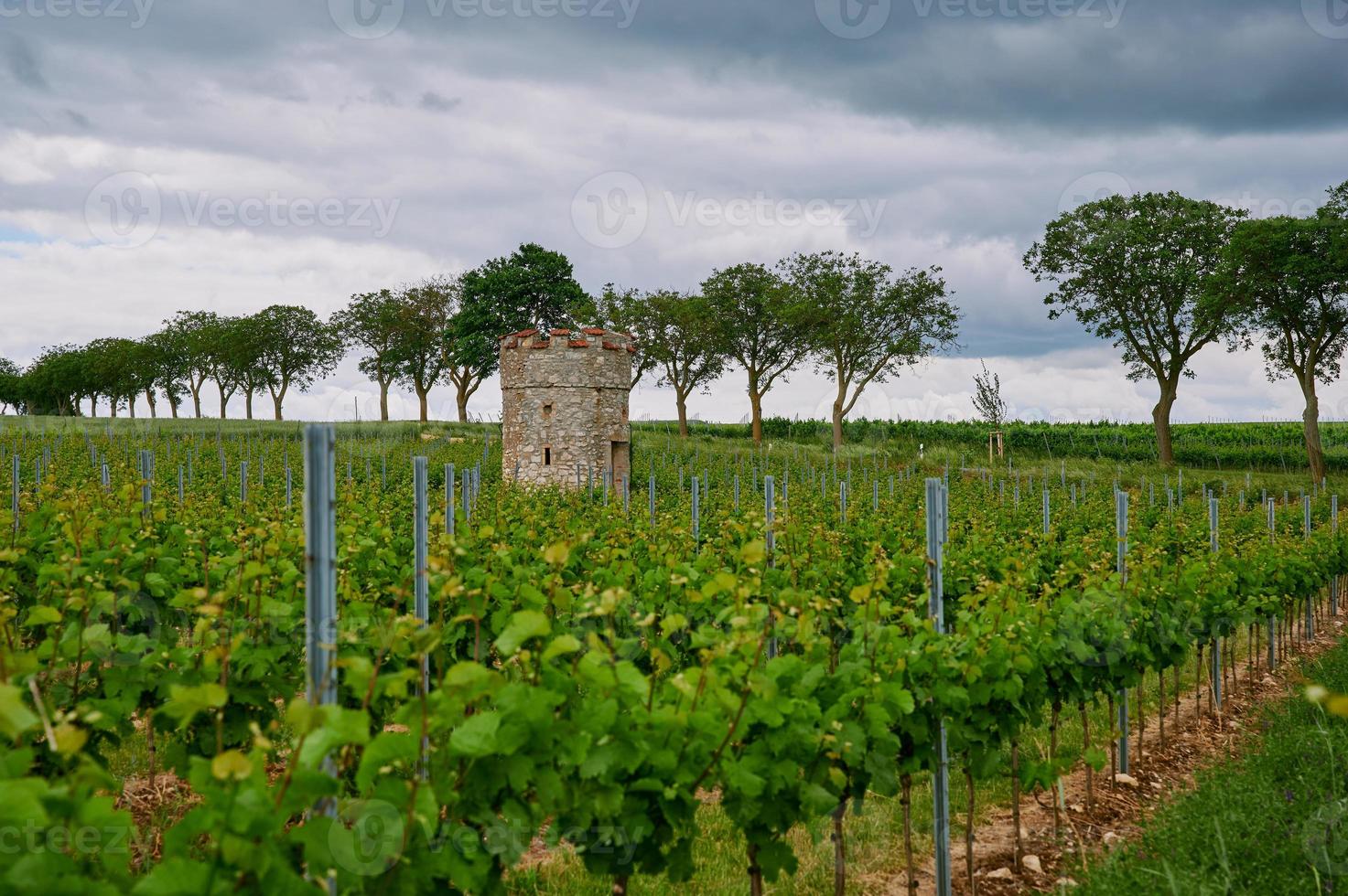 nuvole scure su una torre di vigna nel wonnegau vicino a floersheim foto