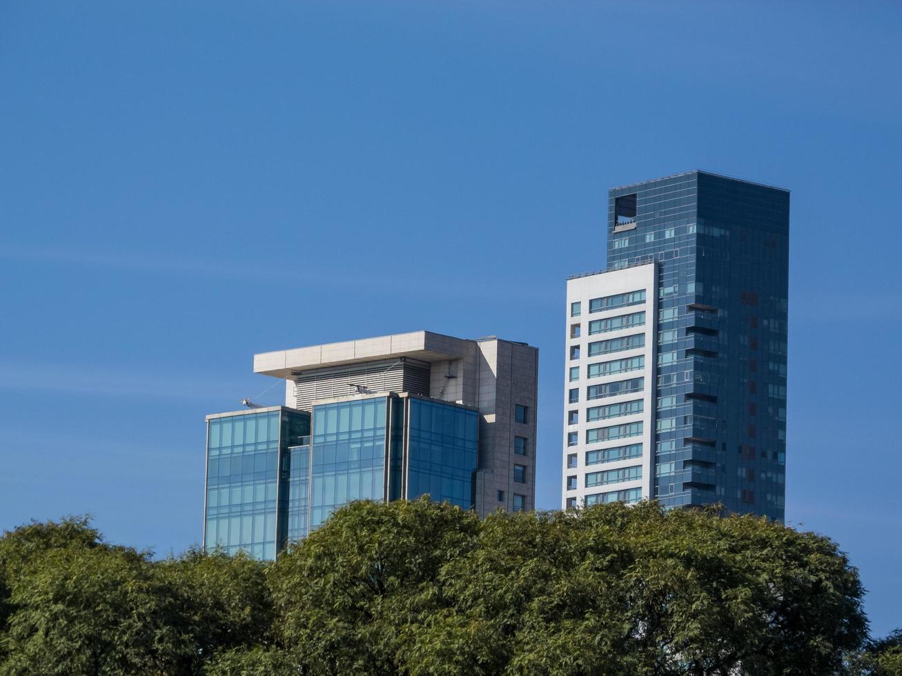 Buenos Aires, Argentina. 2019. nuovi edifici dietro gli alberi foto