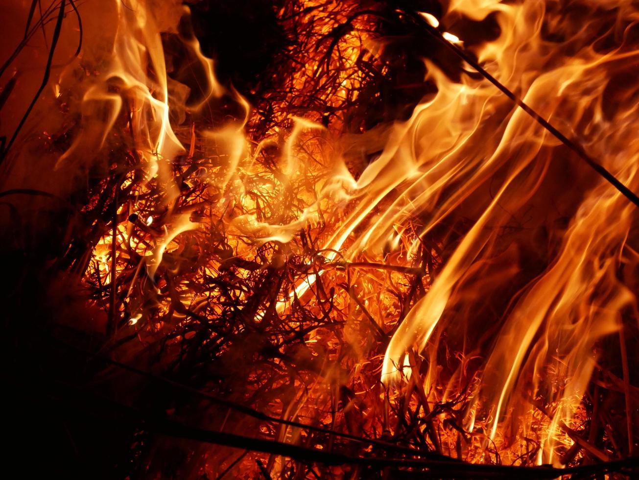 il fuoco brucia paglia di riso e fieno nel campo di notte. foto