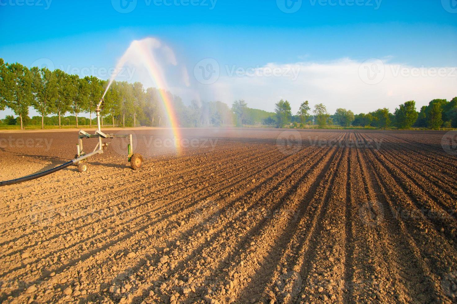 acqua della pompa di irrigazione foto