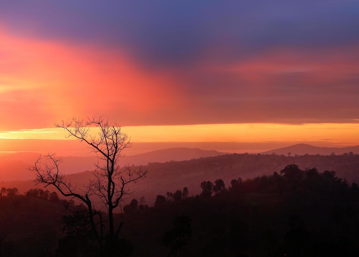 un albero sulla montagna della collina e sullo sfondo del cielo arancione e bellissimo del sole foto