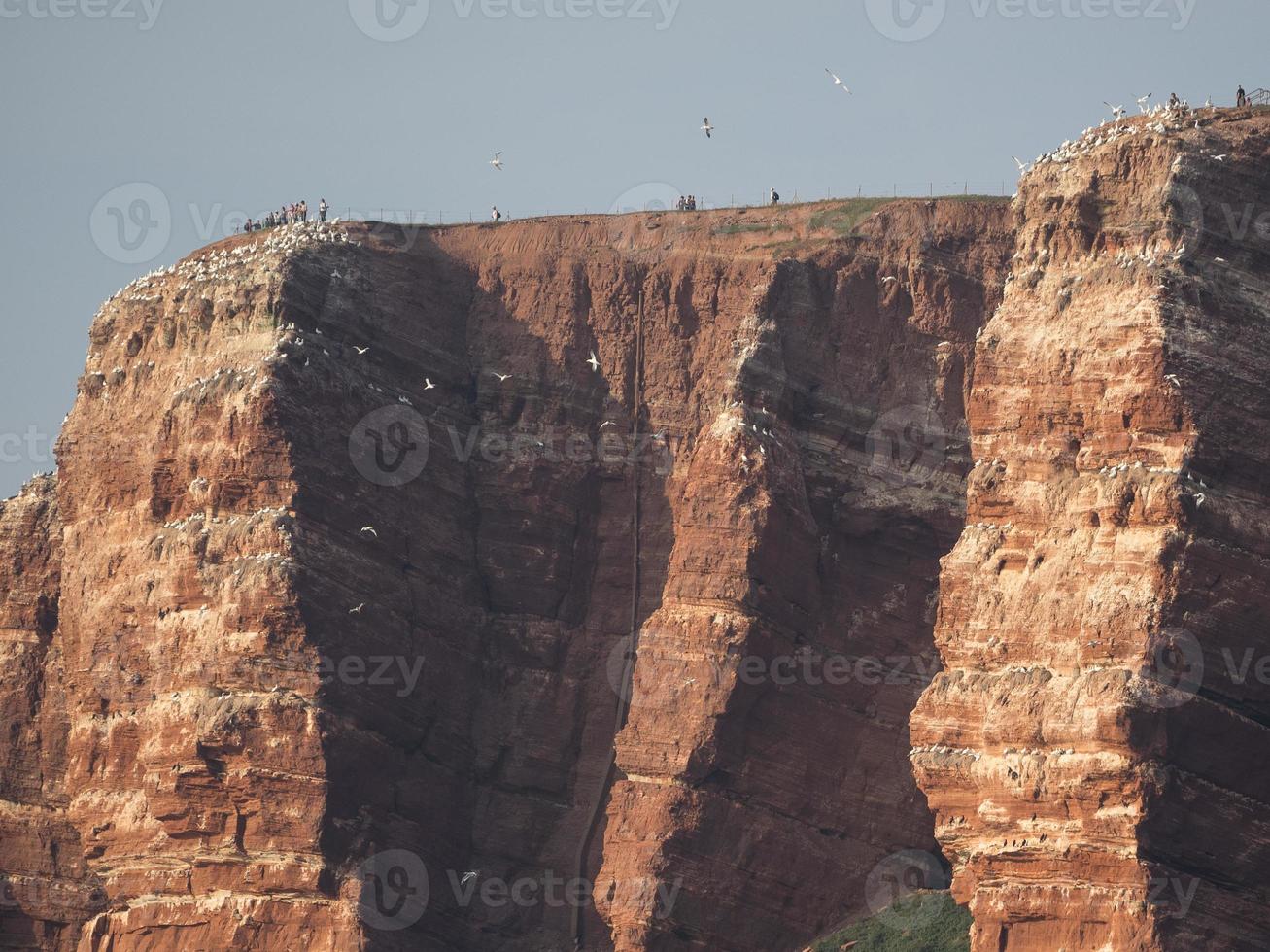 l'isola di Helgoland foto