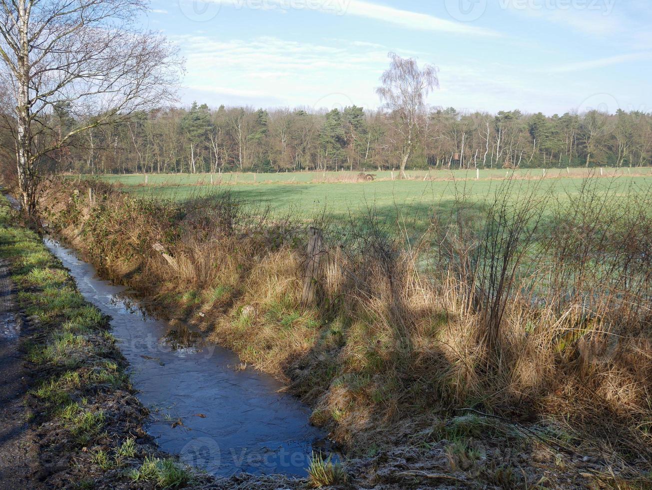 mattina gelida in inverno foto