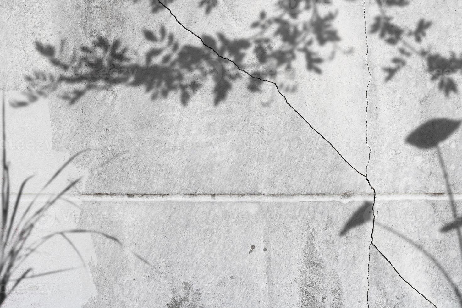 ombra foglia e concetto di luce sulla superficie di cemento grigio foto