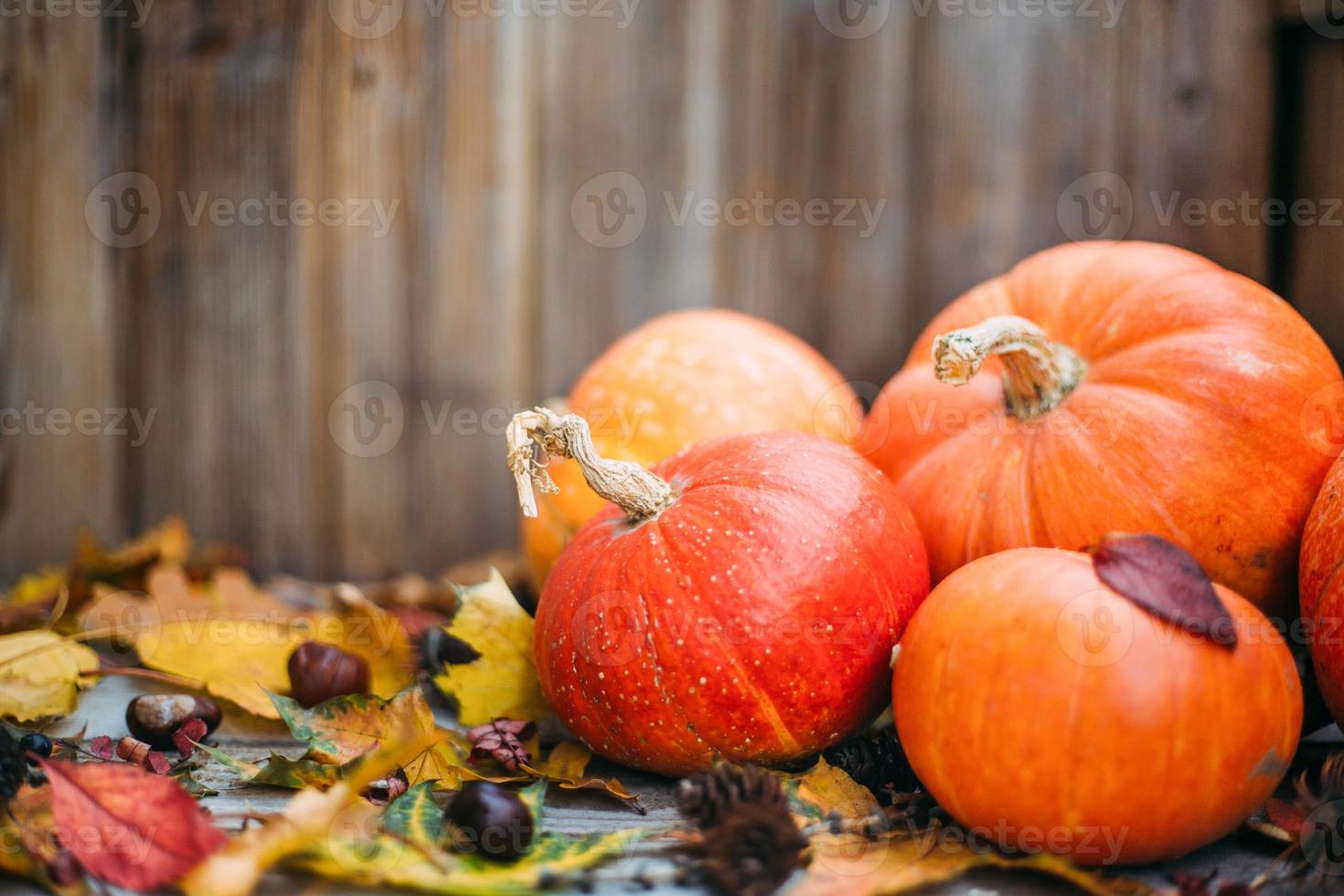 zucche con foglie di caduta su sfondo di legno. zucche di halloween arancioni in composizione autunnale. foto