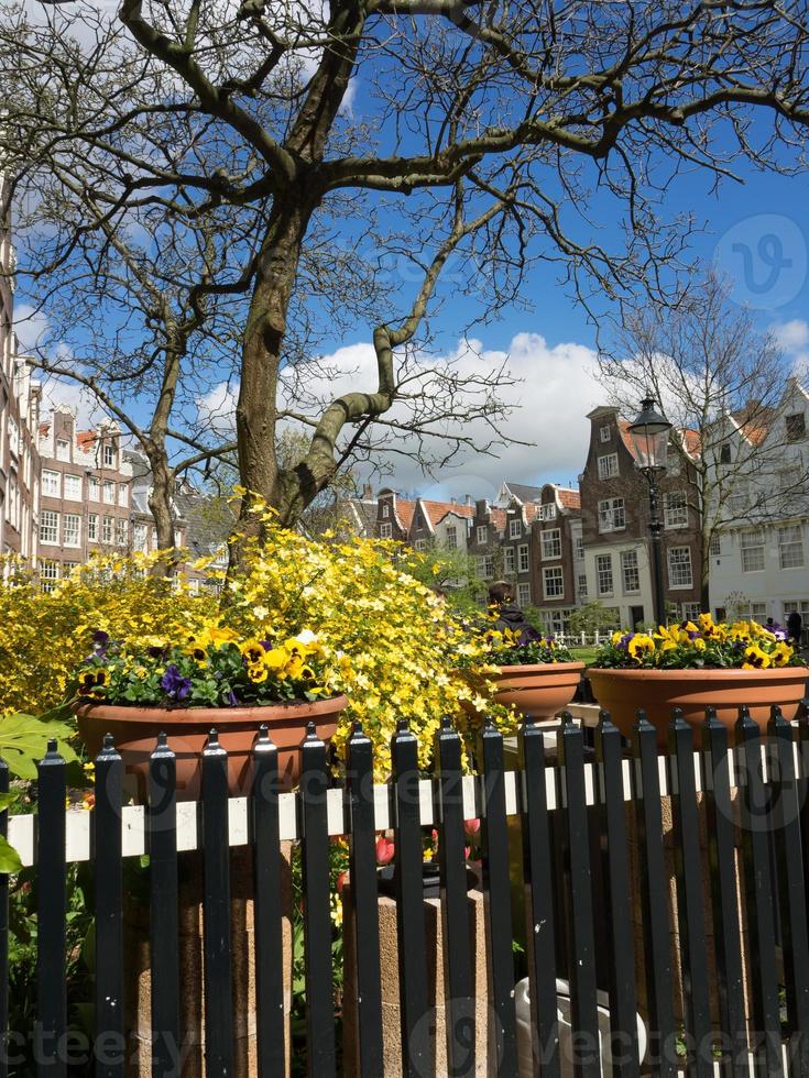 la città olandese di Amsterdam foto