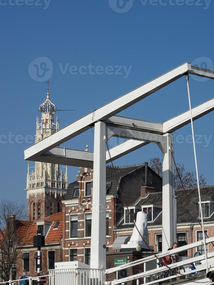 haarlem nei Paesi Bassi foto