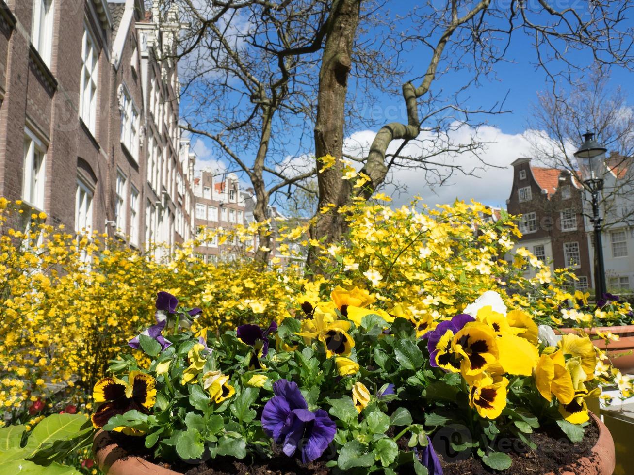 la città olandese di Amsterdam foto