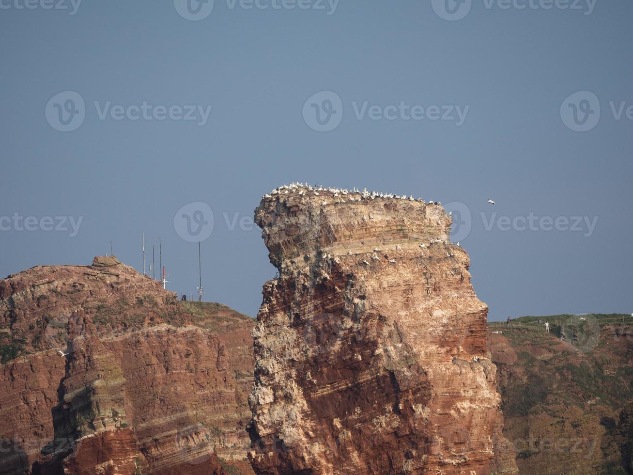 l'isola di Helgoland foto