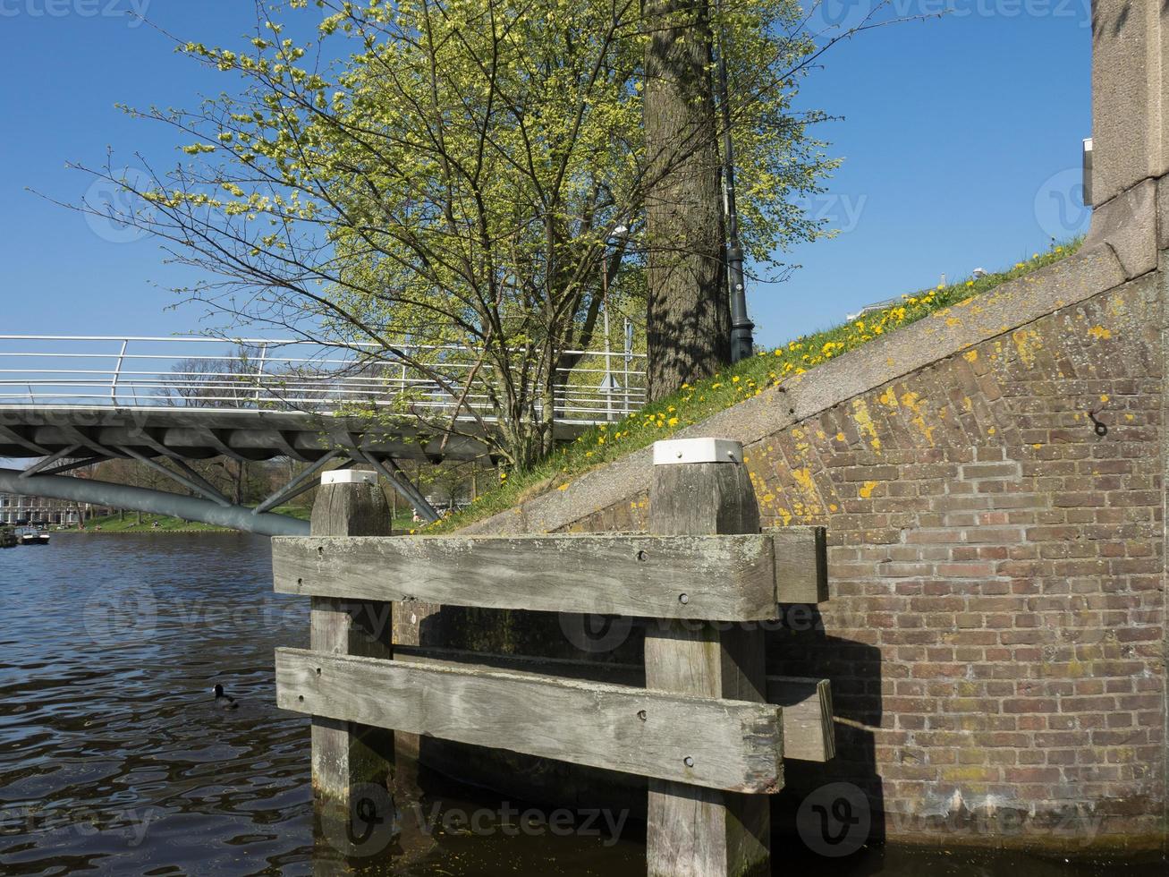 la città di haarlem nei Paesi Bassi foto