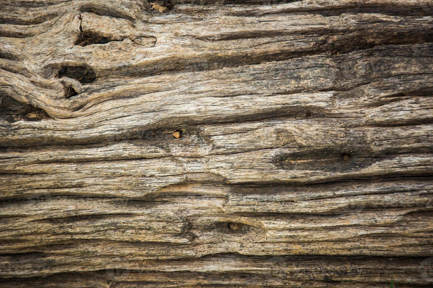 fondale in legno per lo sfondo foto