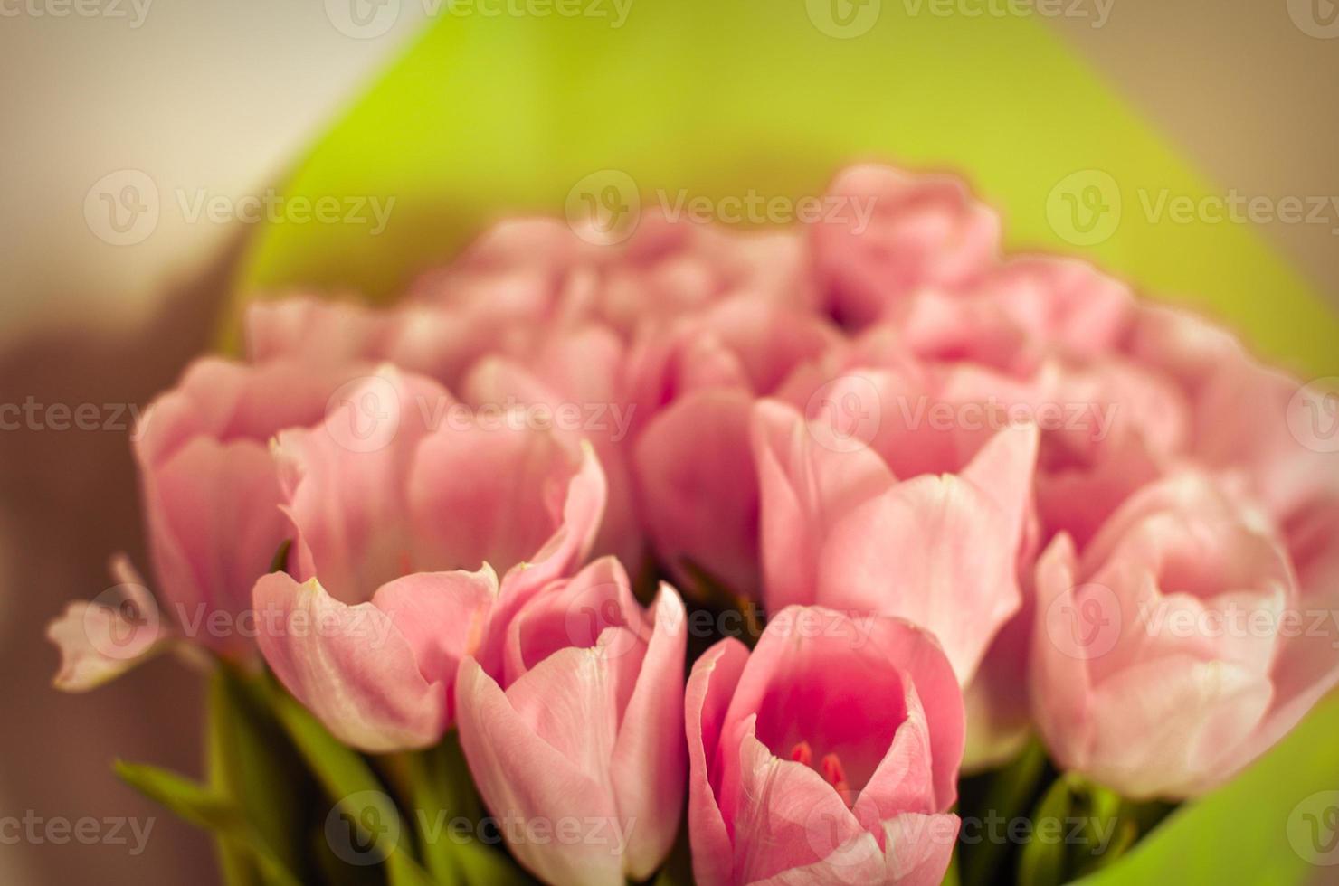 bouquet di fiori di tulipani con tulipani rosa in carta verde foto