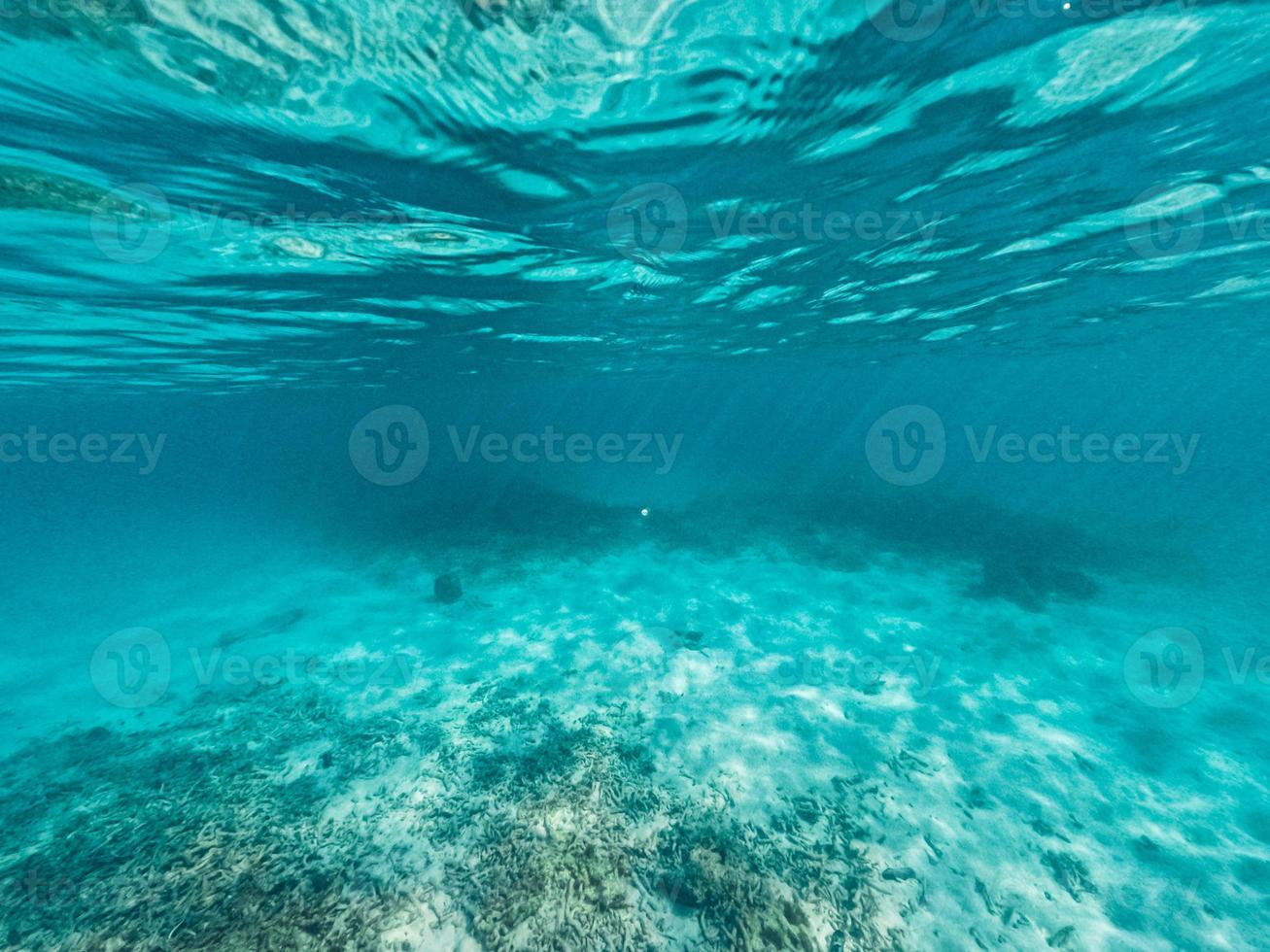 sott'acqua sulla spiaggia dell'isola foto