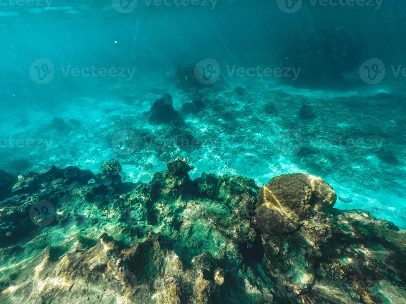 sott'acqua sulla spiaggia dell'isola foto