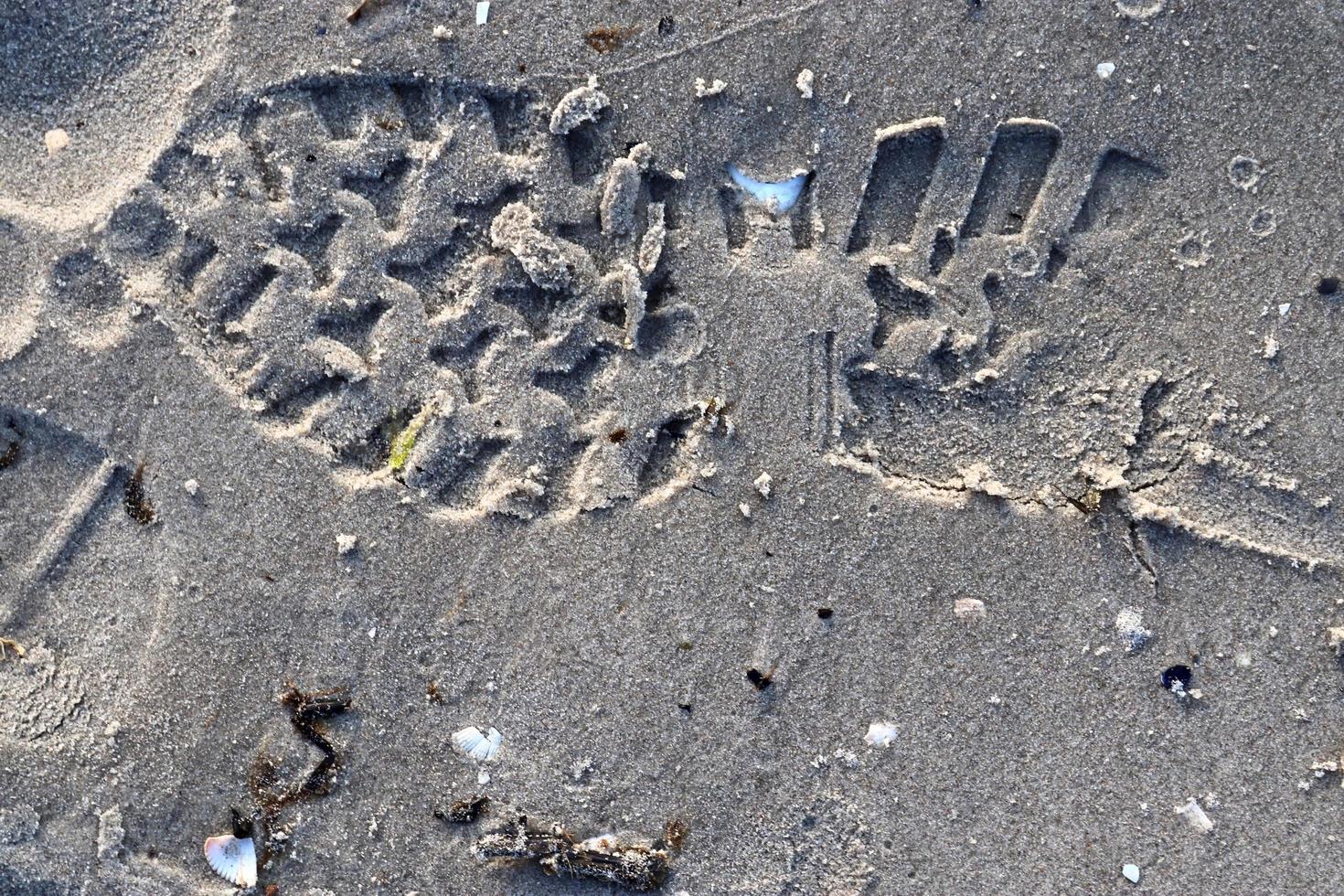 vista ravvicinata dettagliata sulla sabbia su una spiaggia del Mar Baltico foto