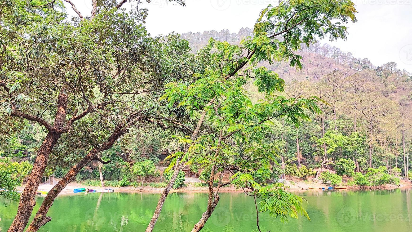 sat tal - sette laghi - è un gruppo interconnesso di sette laghi d'acqua dolce situati nella catena dell'Himalaya inferiore vicino a bhimtal. foto