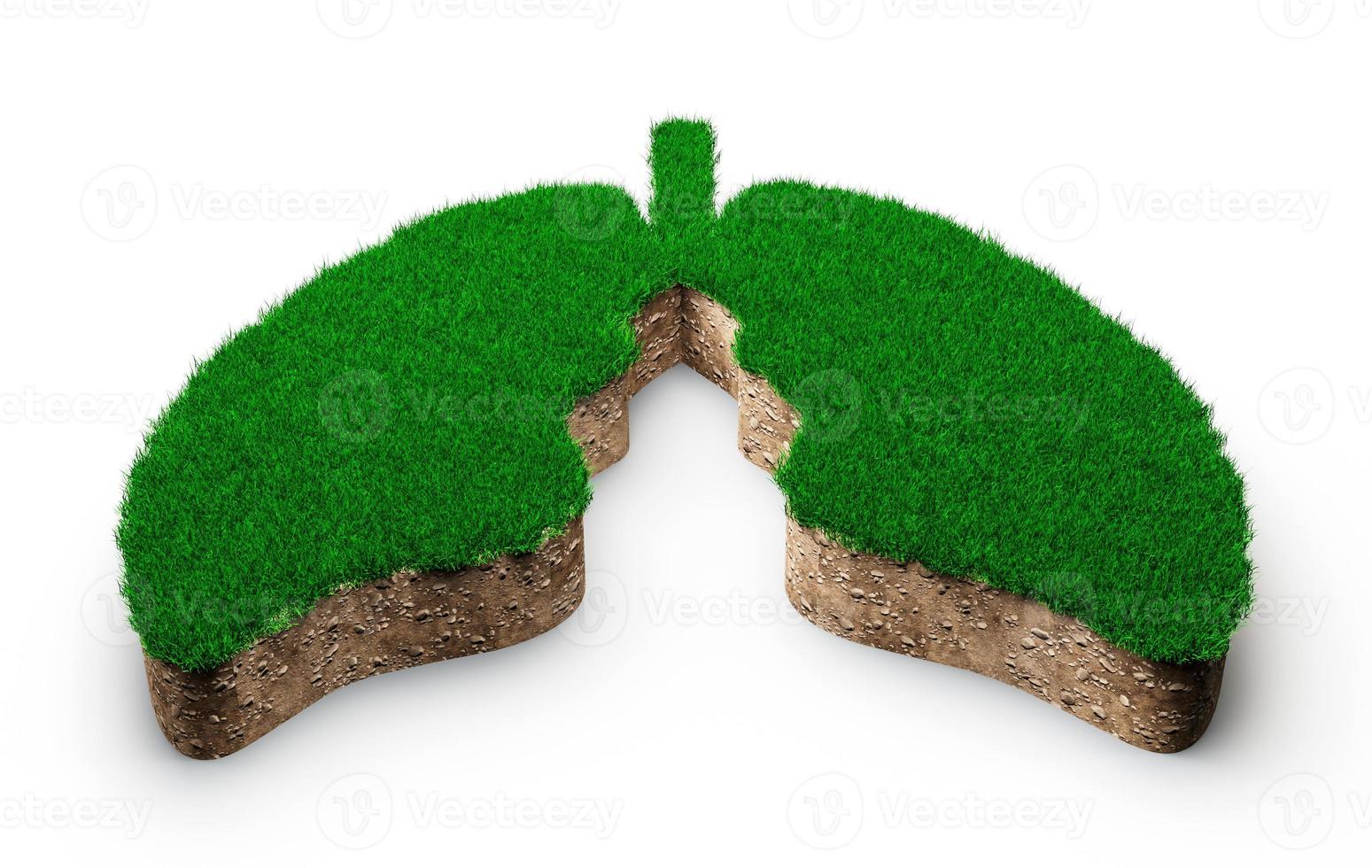 forma dei polmoni fatta di erba verde e sezione trasversale di struttura rocciosa con illustrazione 3d foto