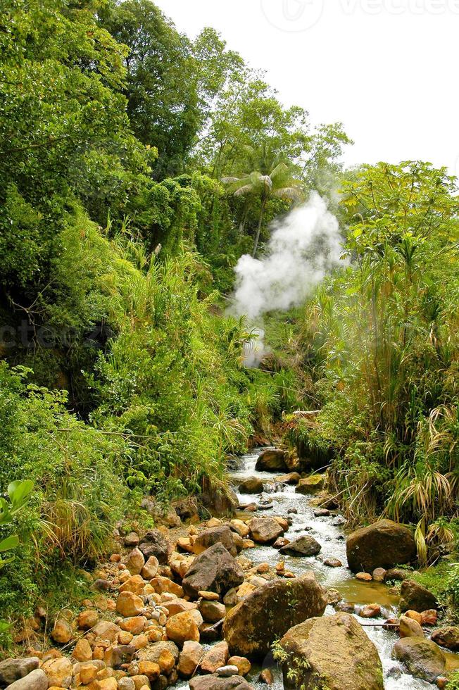 Dominica - sorgente termale naturale foto