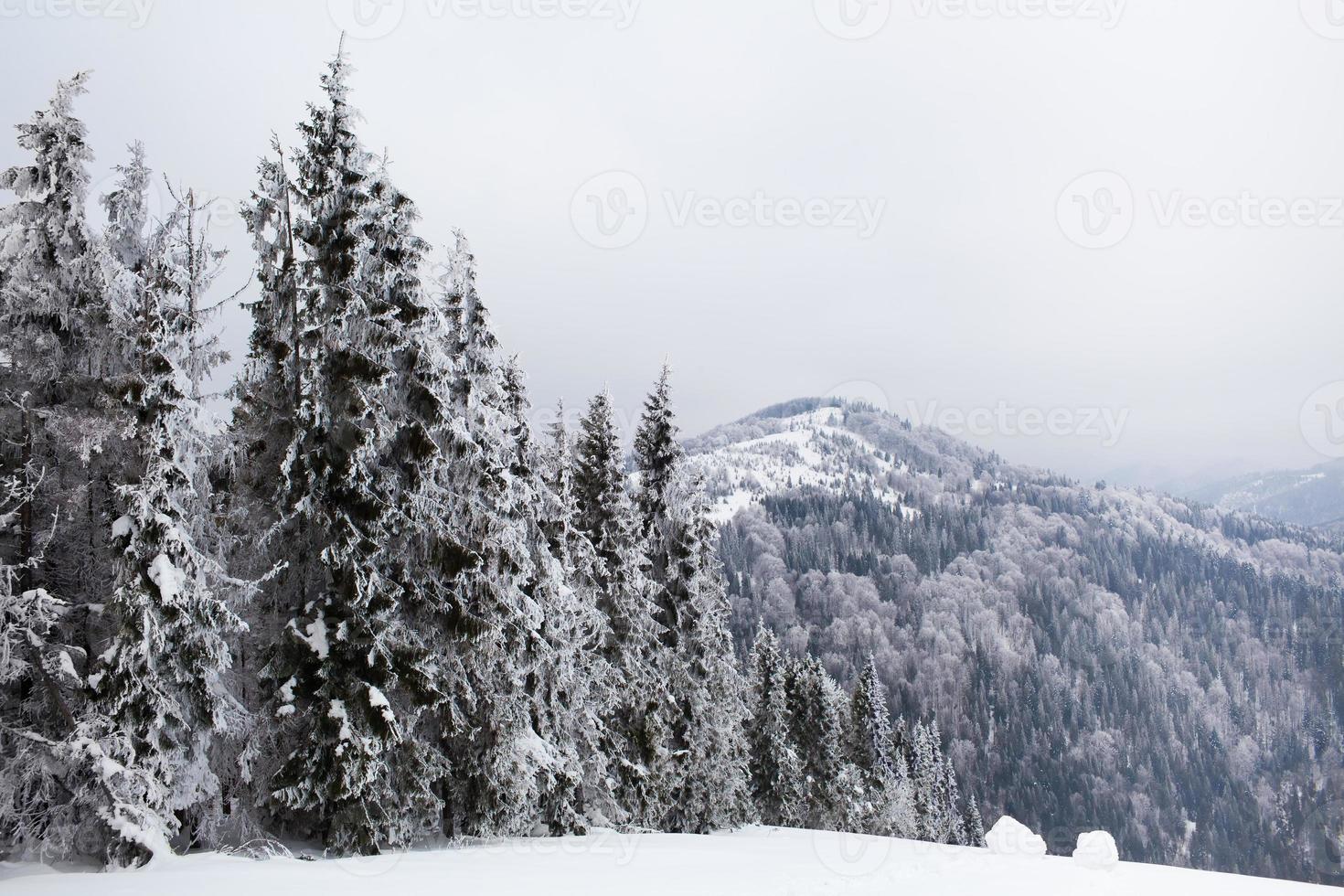 paesaggio invernale foto