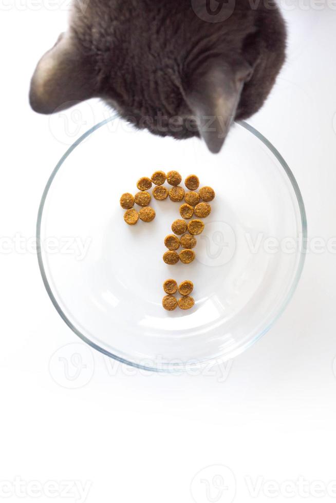 il gatto affamato guarda nella ciotola vuota con una domanda. segno di domanda fatto di cibo per gatti secco in una ciotola su sfondo bianco. concetto di scelta di un alimento secco per animali domestici foto