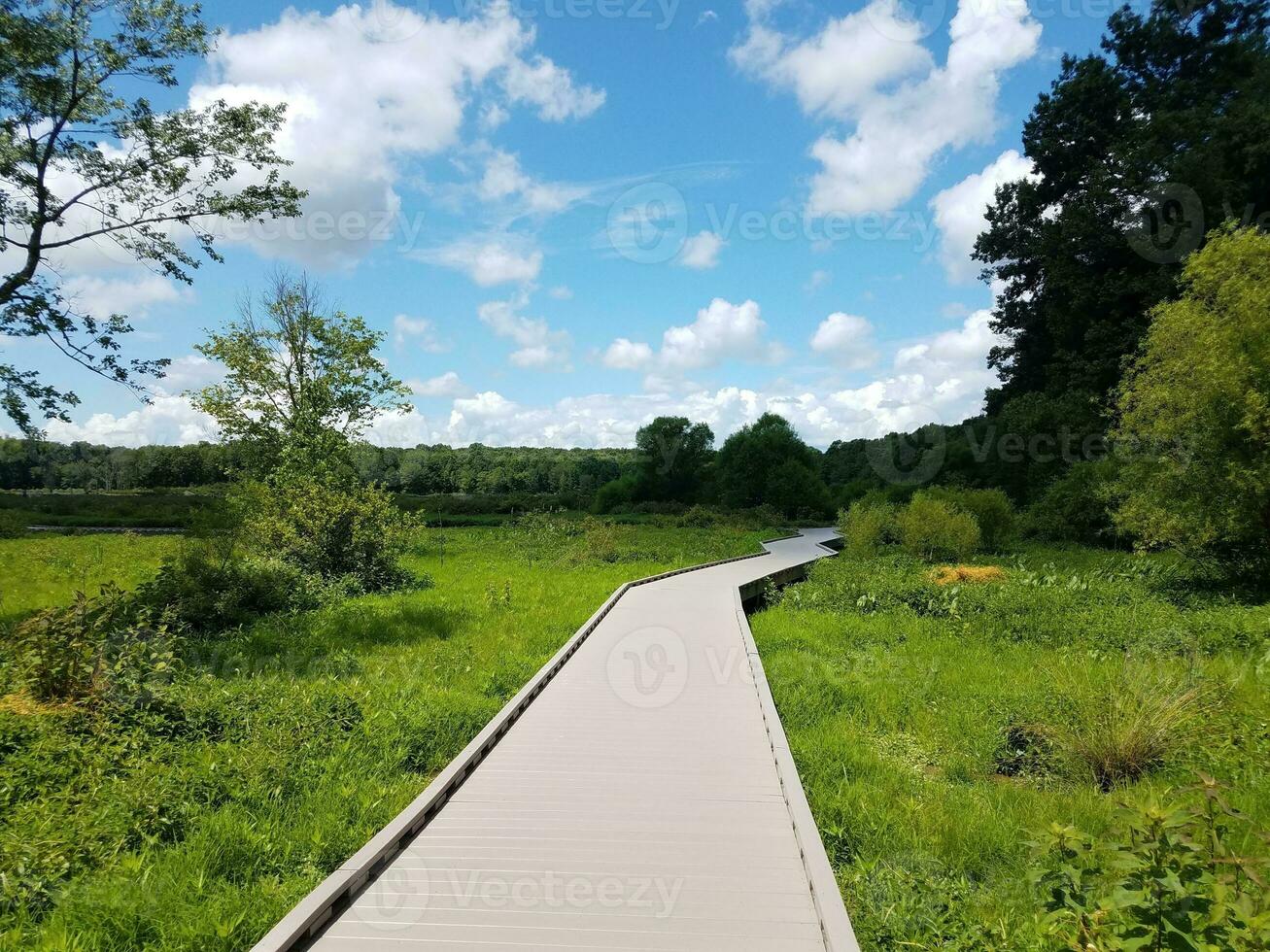 passerella o sentiero in una palude o in una zona umida foto