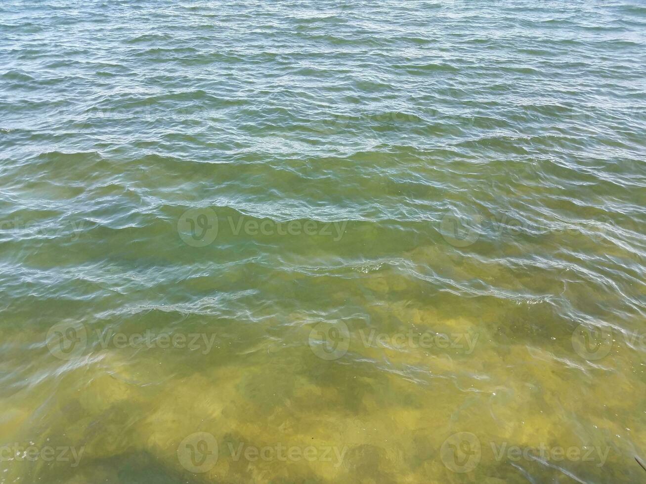 oceano blu e verde o acqua di lago o stagno foto