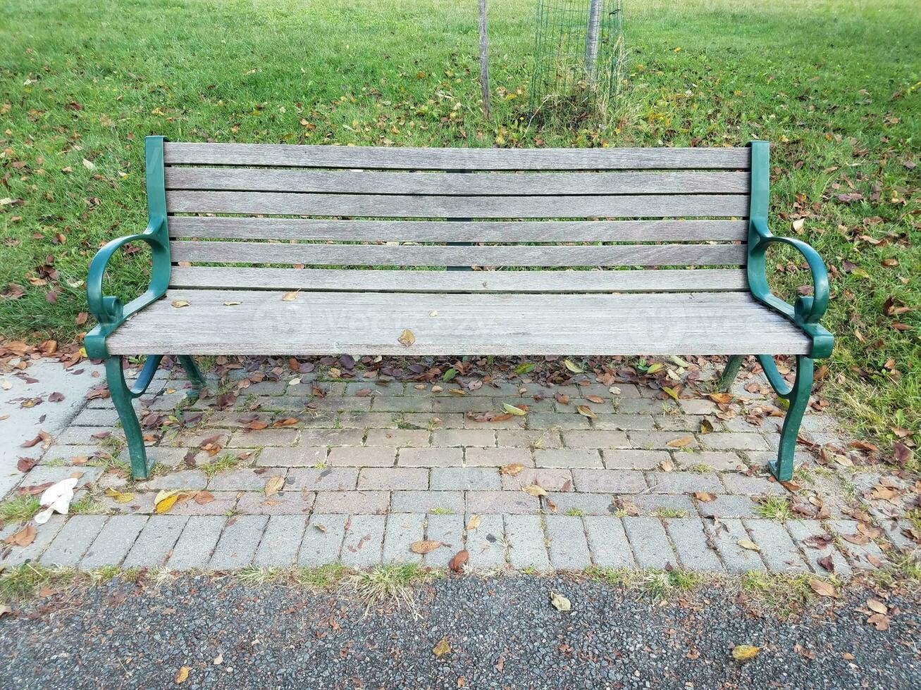 panca in legno in un parco con acqua e foglie foto