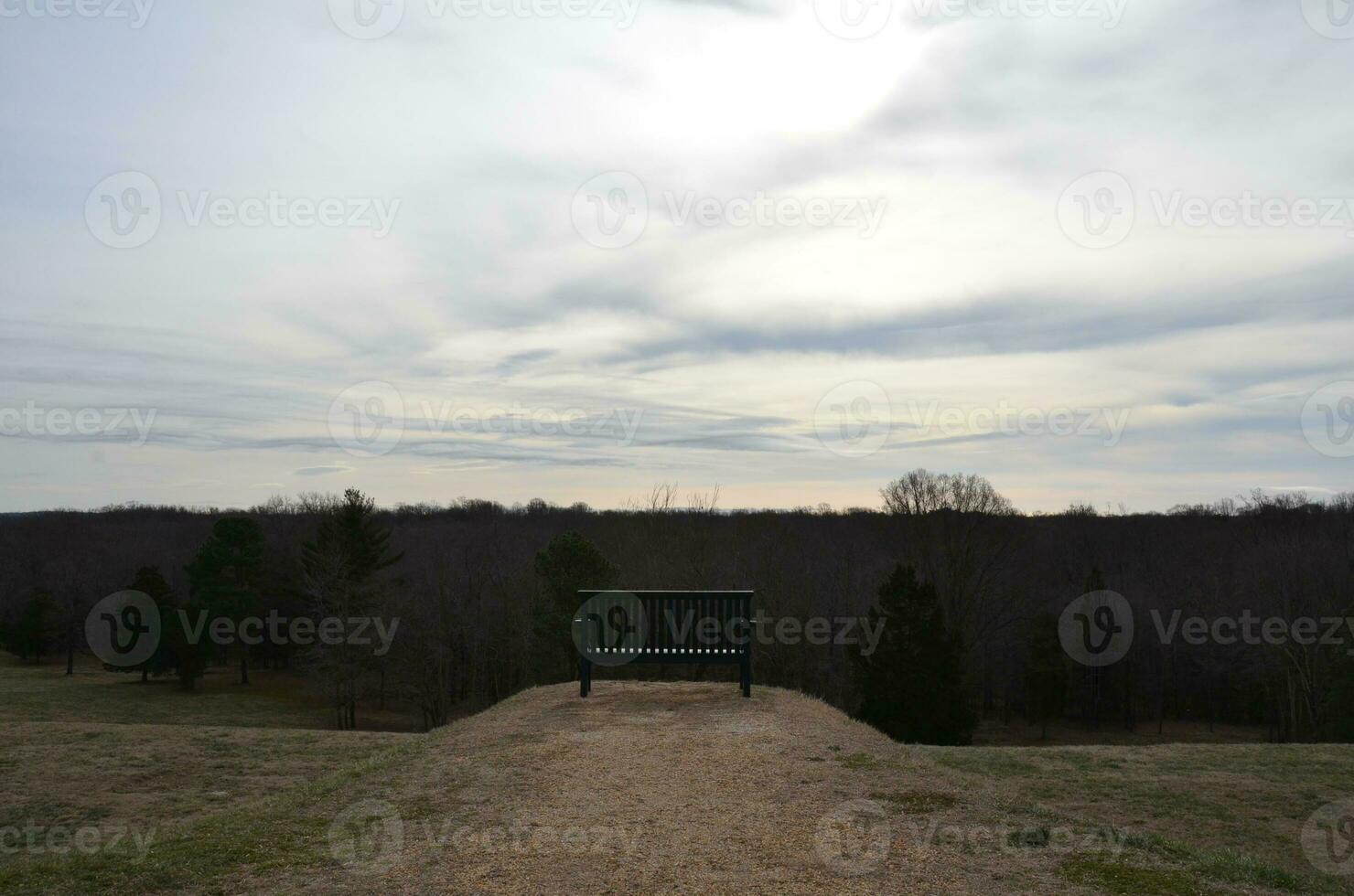 panca o sedia su una collina erbosa con vista sulla foresta o sui boschi foto