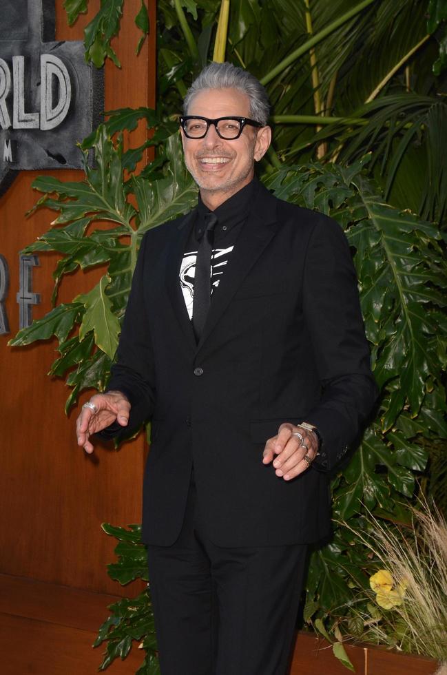 los angeles - 12 giugno jeff goldblum alla premiere del regno caduto del mondo giurassico presso la sala concerti di Walt Disney il 12 giugno 2018 a los angeles, ca foto