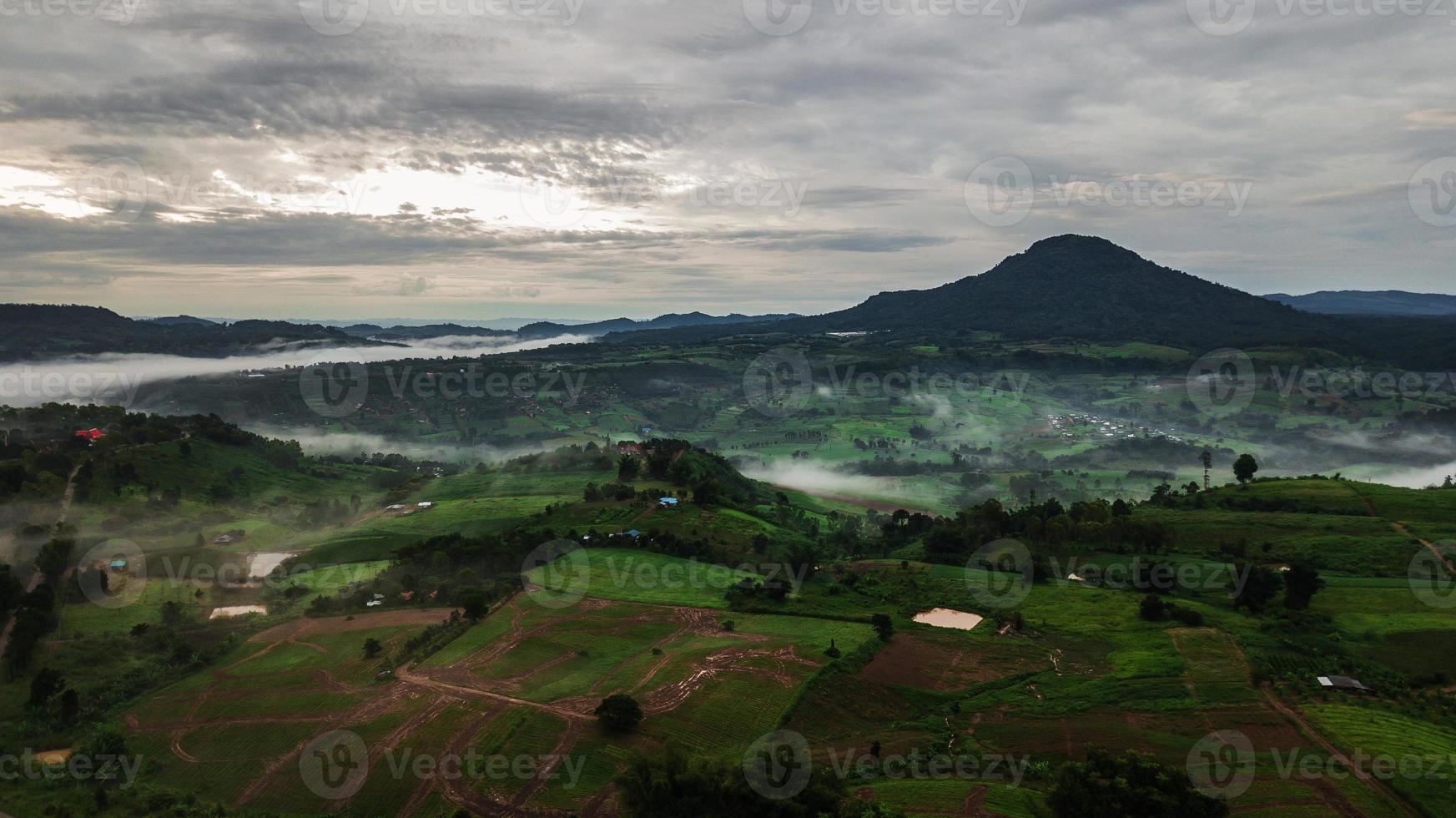 montagne con alberi e nebbia in Thailandia foto